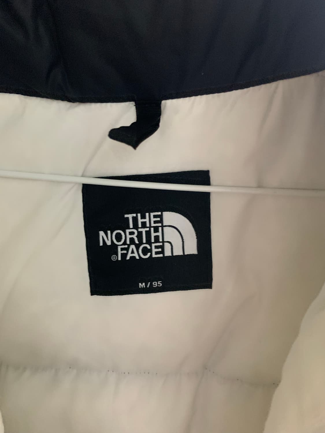 노스페이스 에코 눕시 상품이미지5