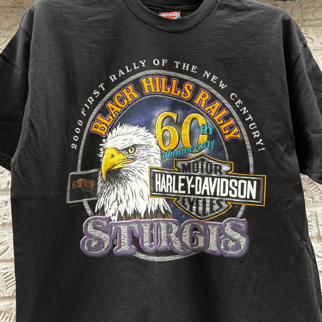 🇺🇸 00s 할리데이비슨 sturgis 랠리 반팔 상품이미지5