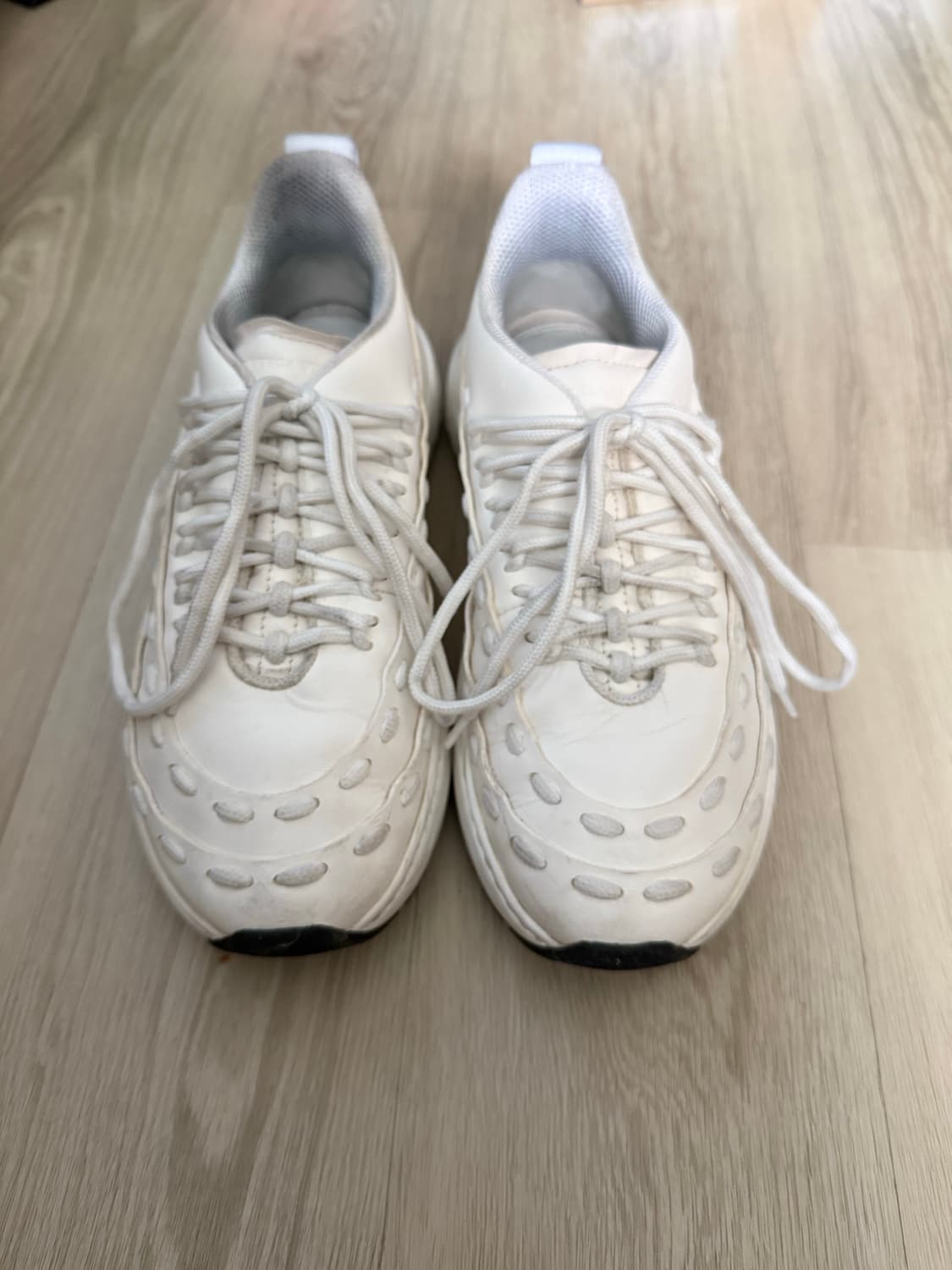 보테가베네타 스피드스터 260 상품이미지3