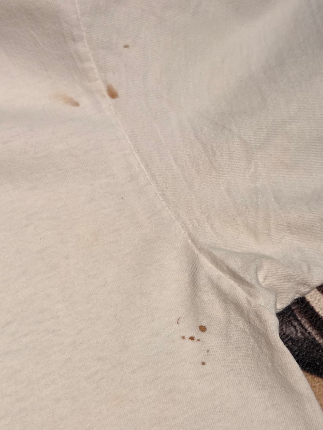 NBC 챔스 트루 게임 체인저 상품이미지5