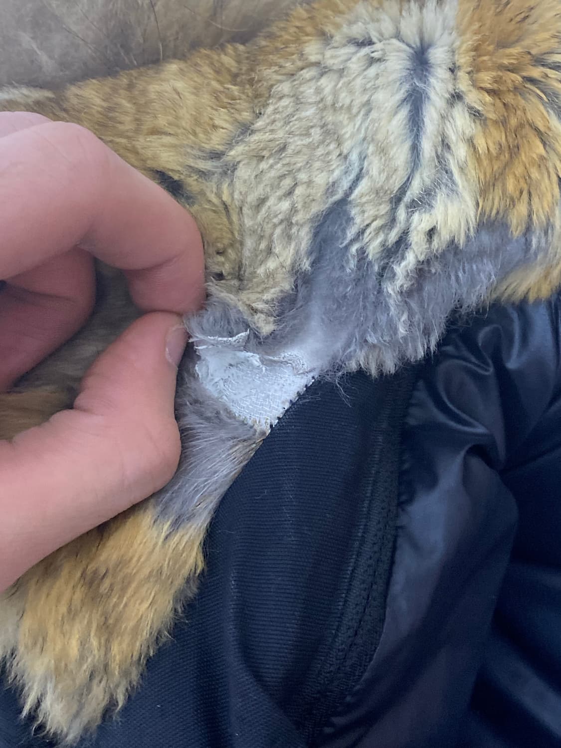 맥케이지 패딩 38 상품이미지2