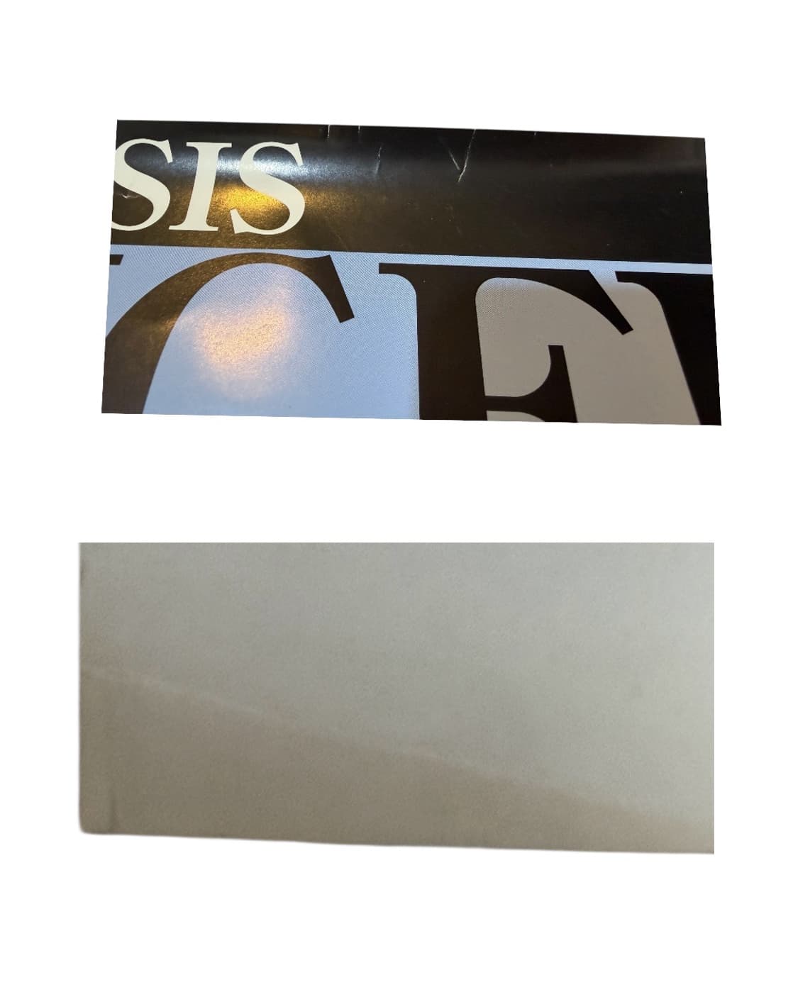 Evangelion ayanami rei b2 poster 상품이미지5