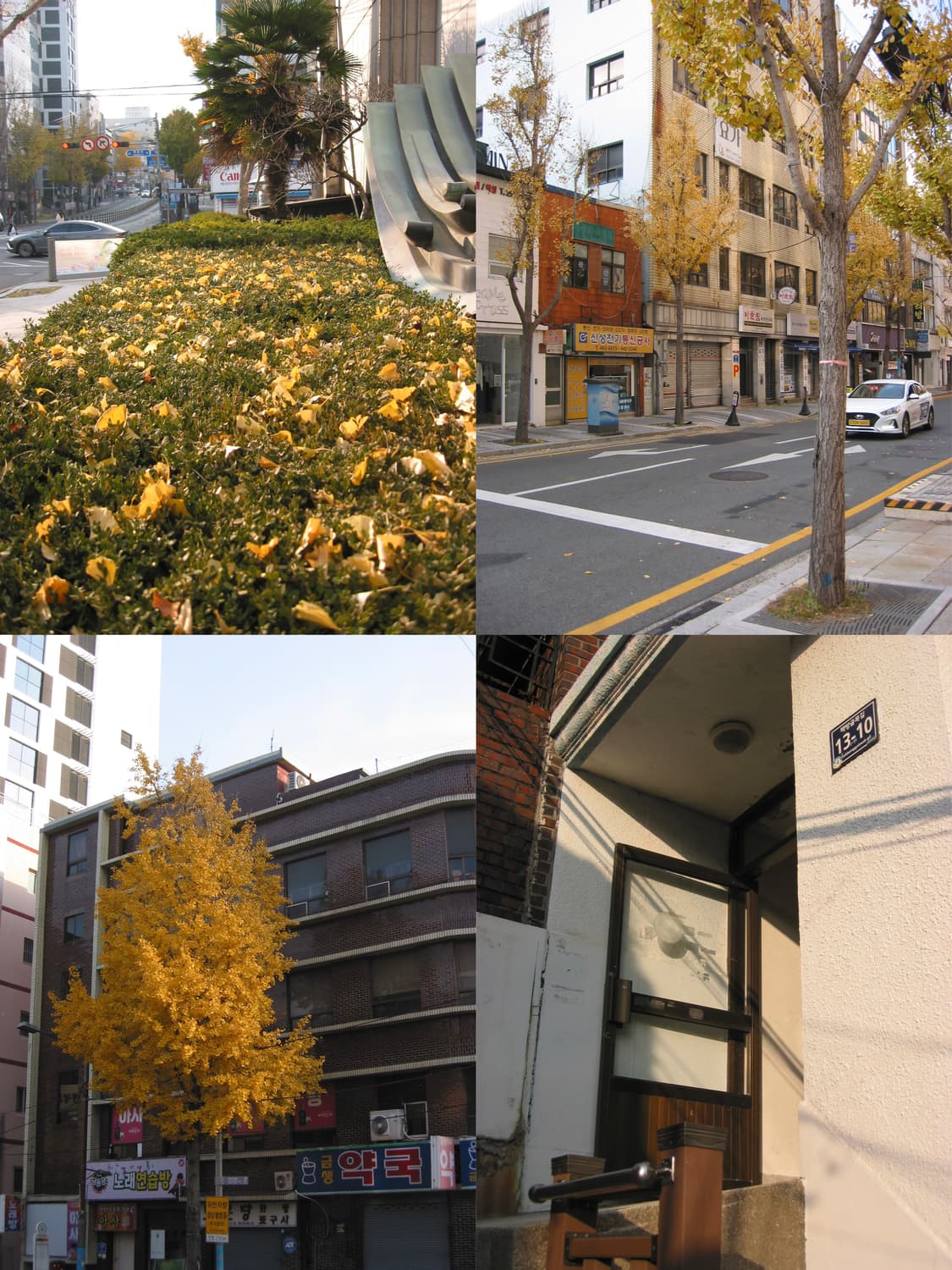 캐논 파워샷 s40 디지털 카메라 상품이미지2