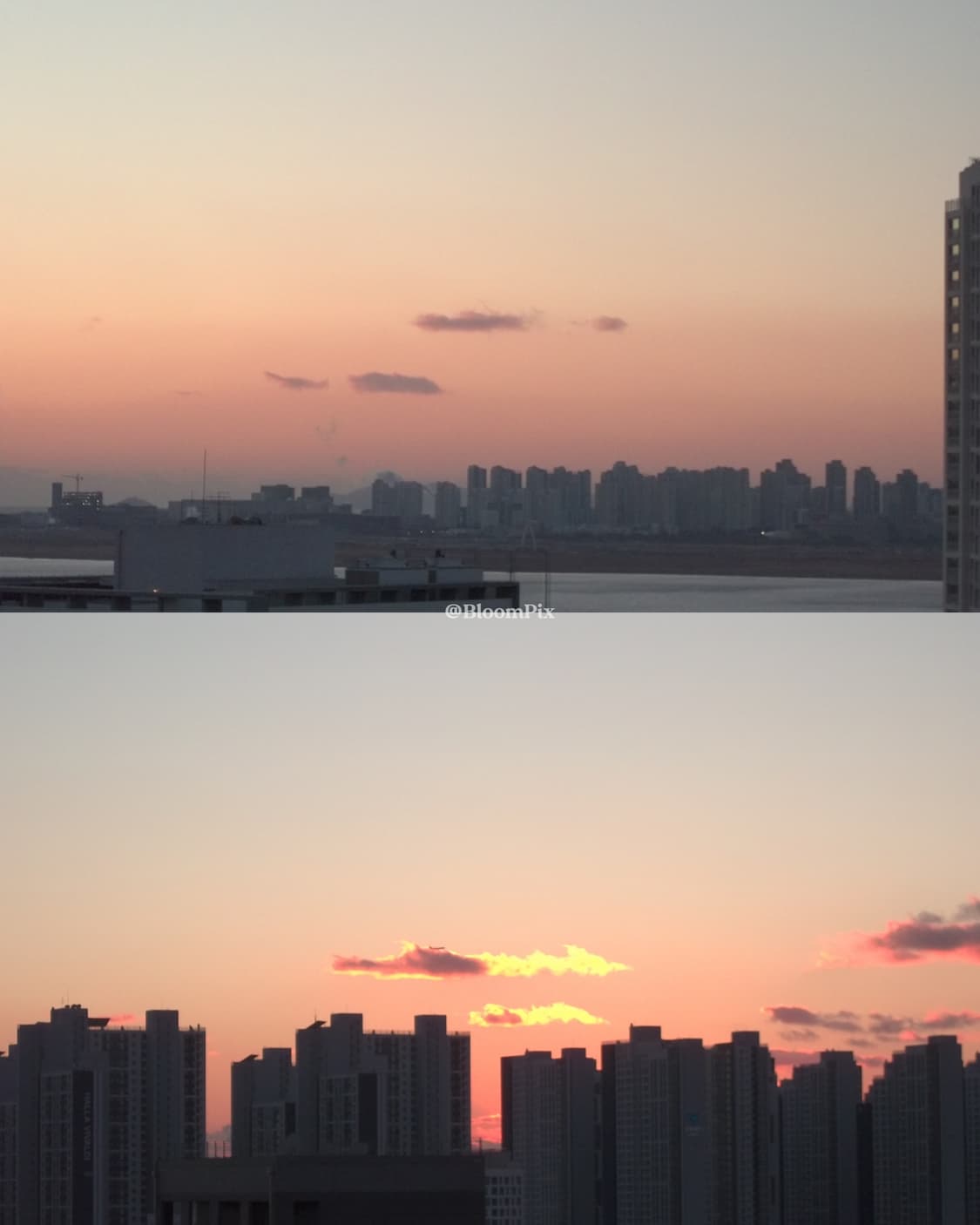 [A~A-급/풀구성] 코닥 C143 KODAK C143 상품이미지7