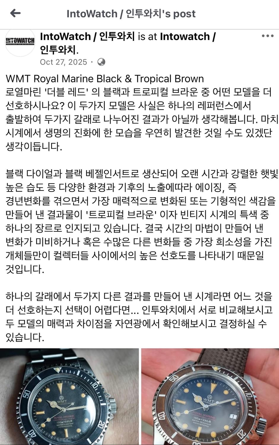 빈티지 감성의 정수, WMT 로얄마린 트로피칼 브라운 상품이미지5