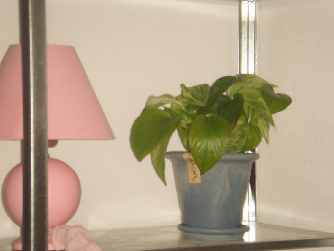 소니 사이버샷 dsc-t10 상품이미지5