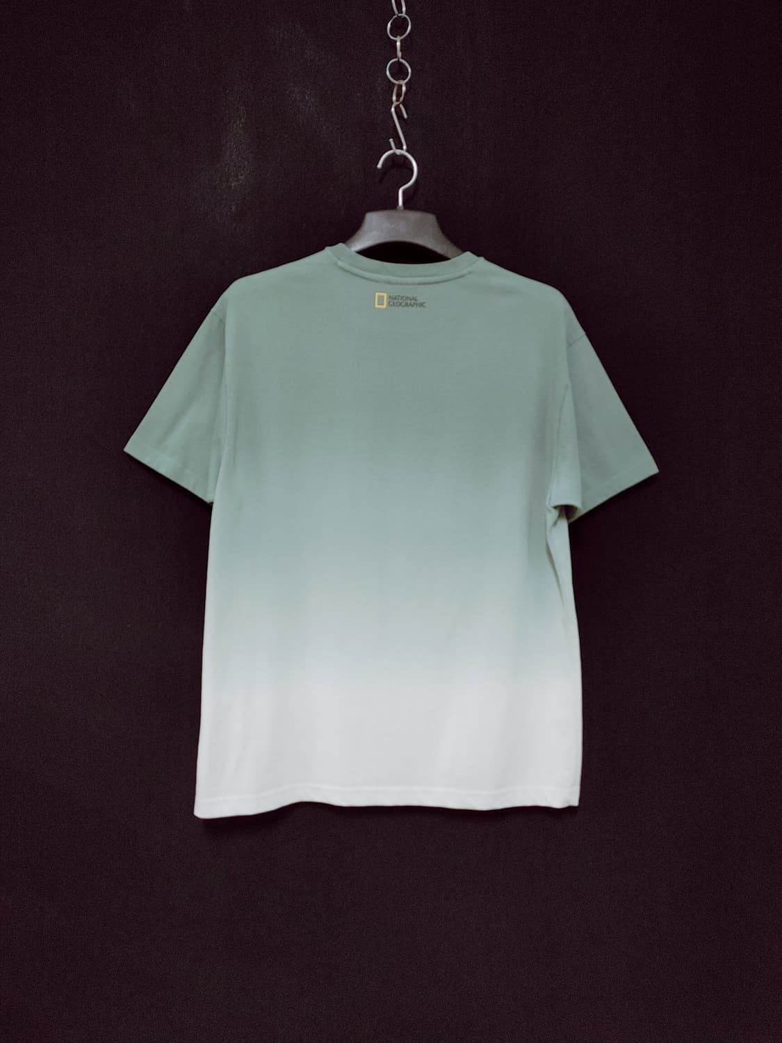 NATIONAL GEOGRAPHIC 내셔널 지오그래픽 그라데이션 반팔티 상품이미지2