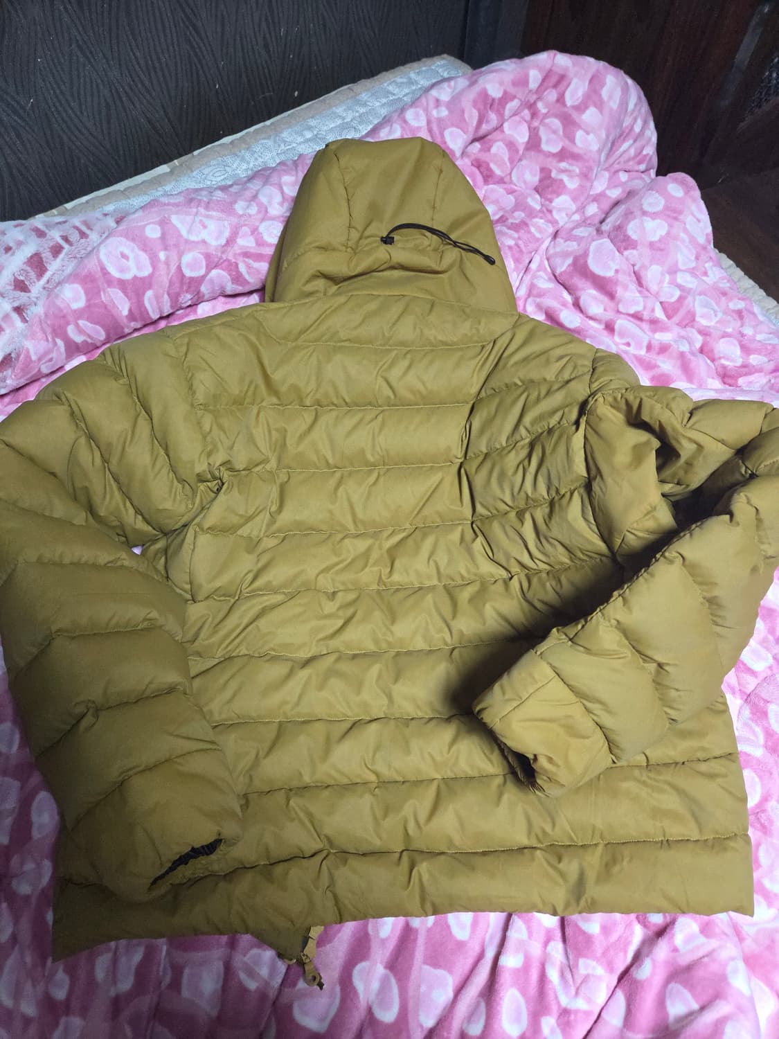 아크테릭스 24k 골드 토륨 l 상품이미지8