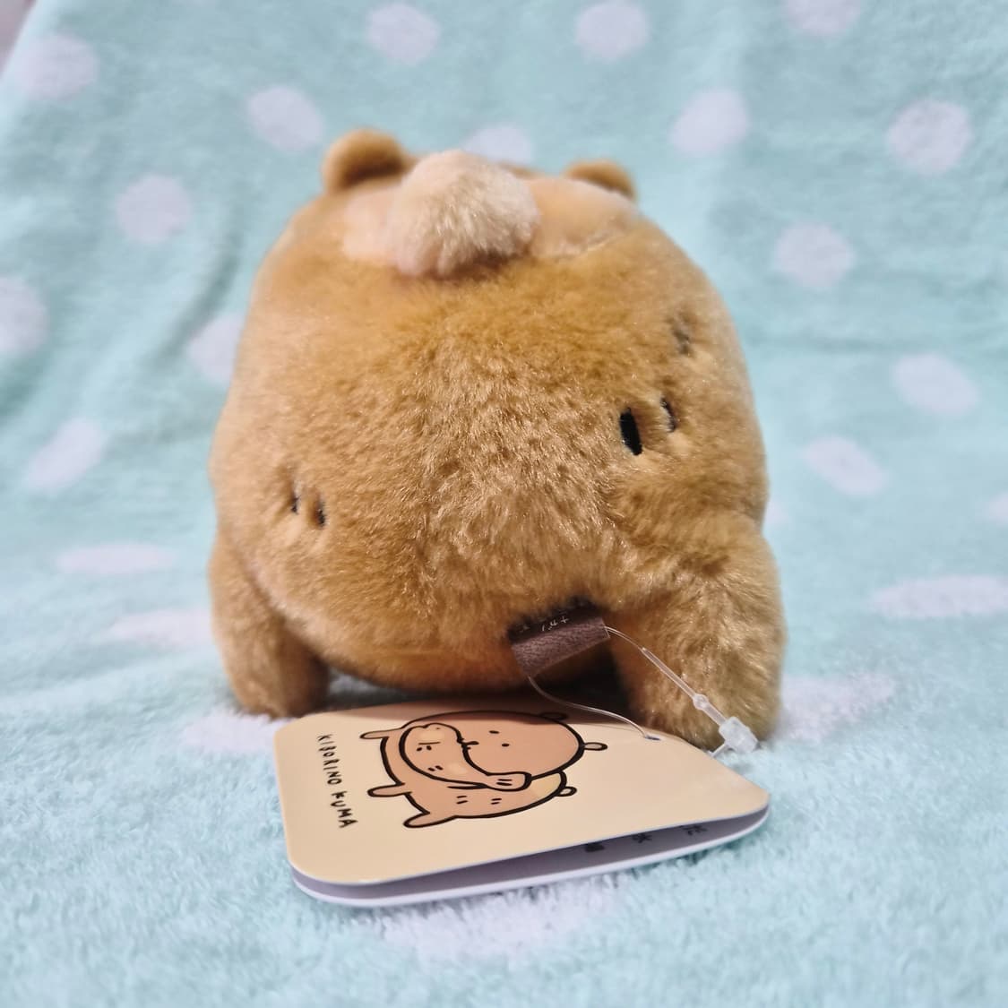 농담곰 목각곰 상품이미지5