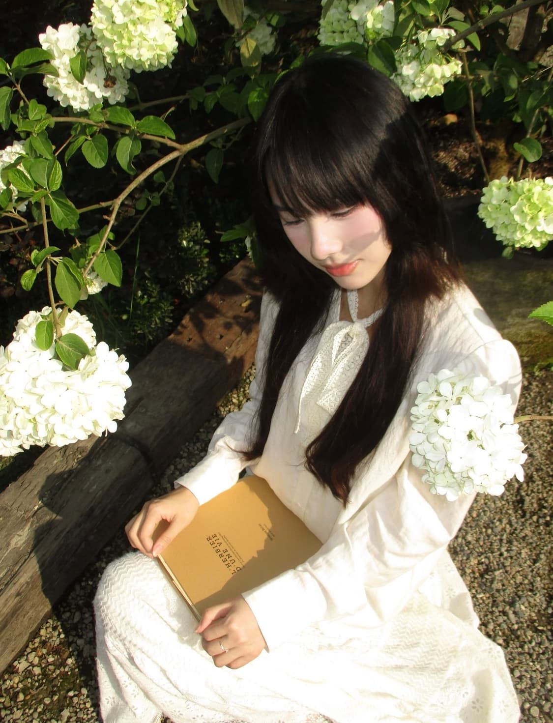 강추!🍅) CANON IXY 160 빈티지 디카 상품이미지3