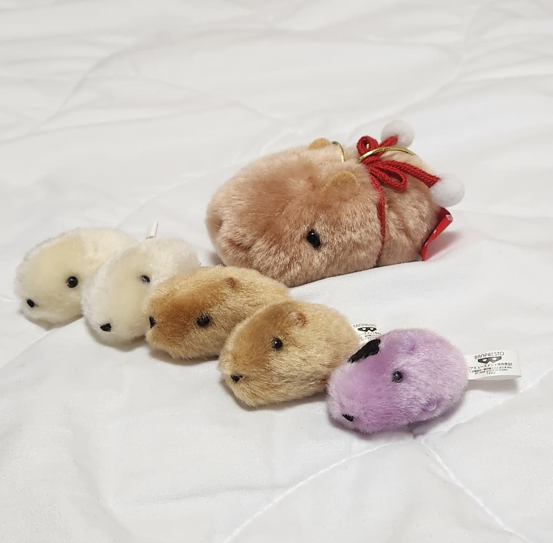 일괄) 카피바라상 인형 누이 미니 키링 상품이미지2