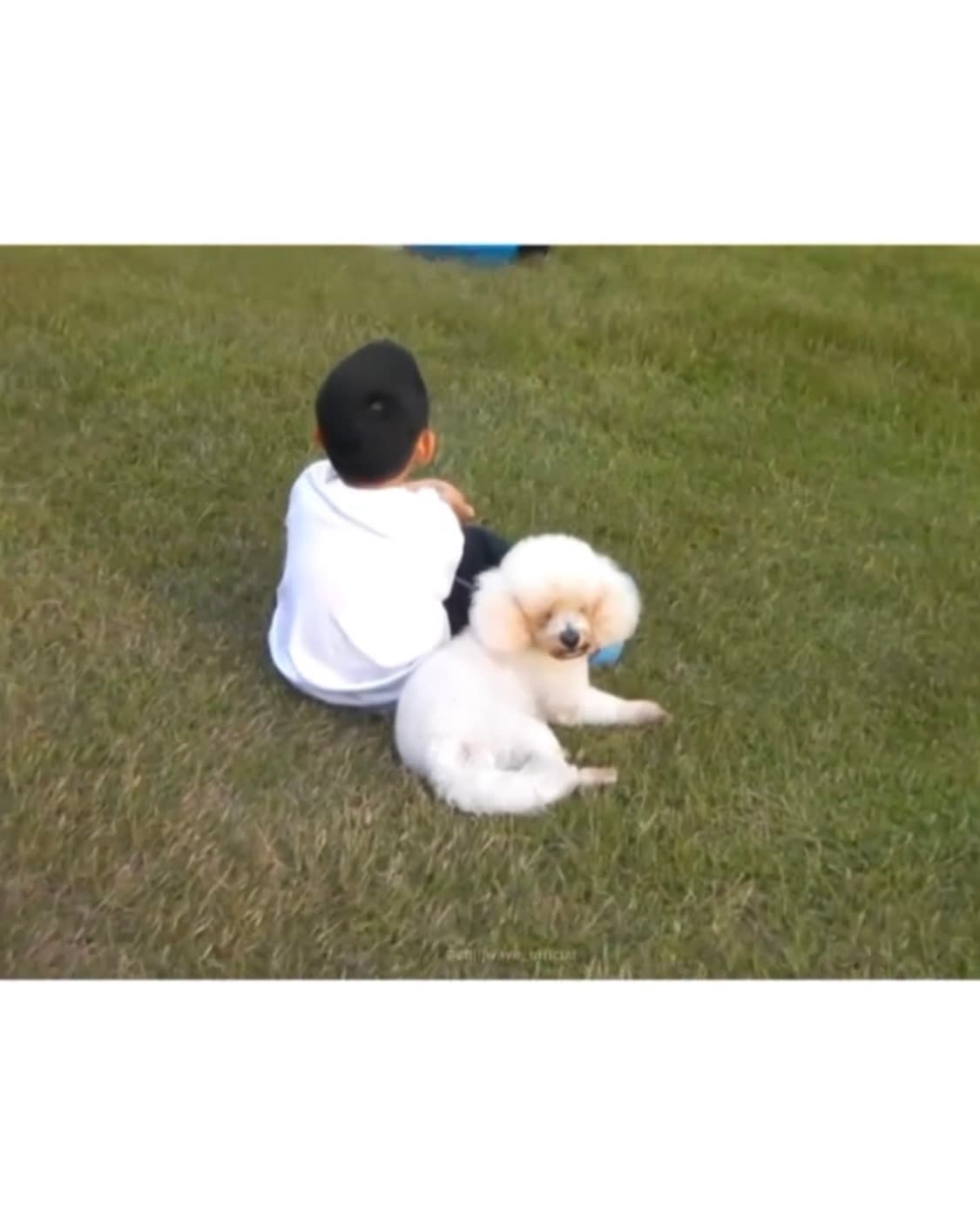 (한글 지원)산요 작티CG9  상품이미지3