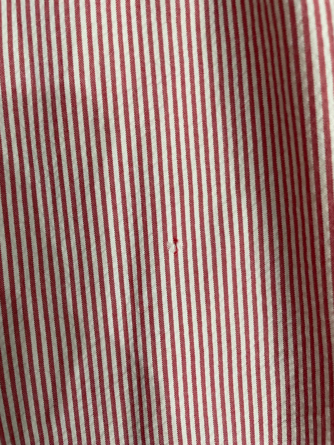 폴로 시어서커 레드 스트라이프 반팔 셔츠 상품이미지9