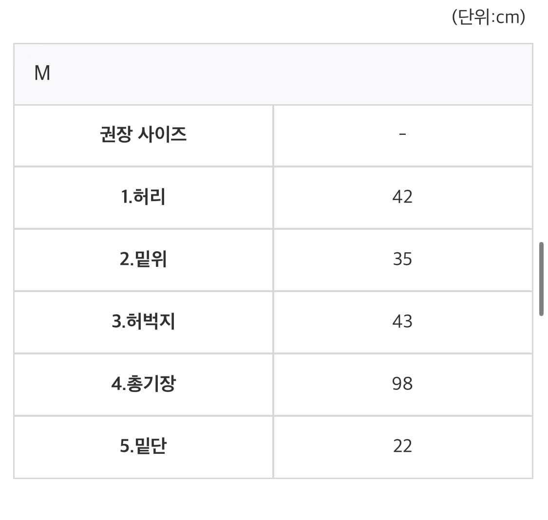 HINSON 힌슨 플라워 립스탑 와이드 카고 팬츠 (M) 상품이미지6