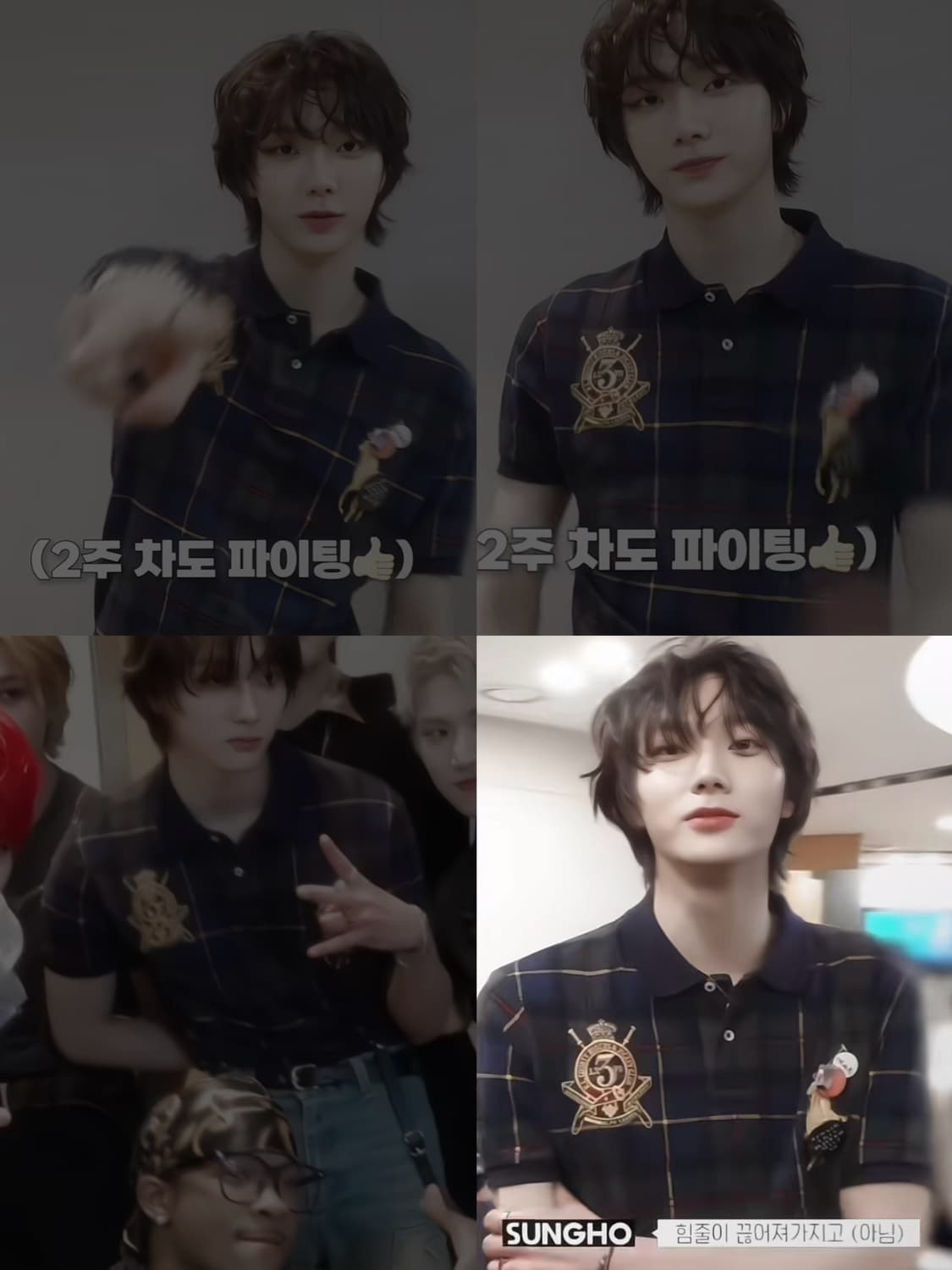 폴로 반팔 상품이미지2