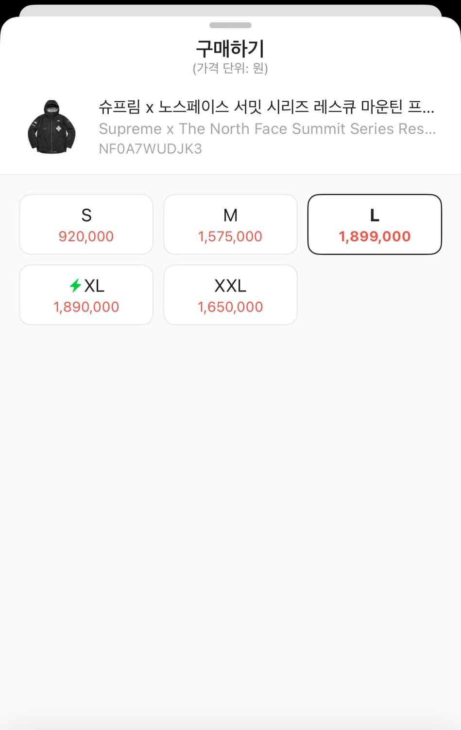 노스페이스 슈프림 서밋 레스큐 자켓 L 상품이미지2