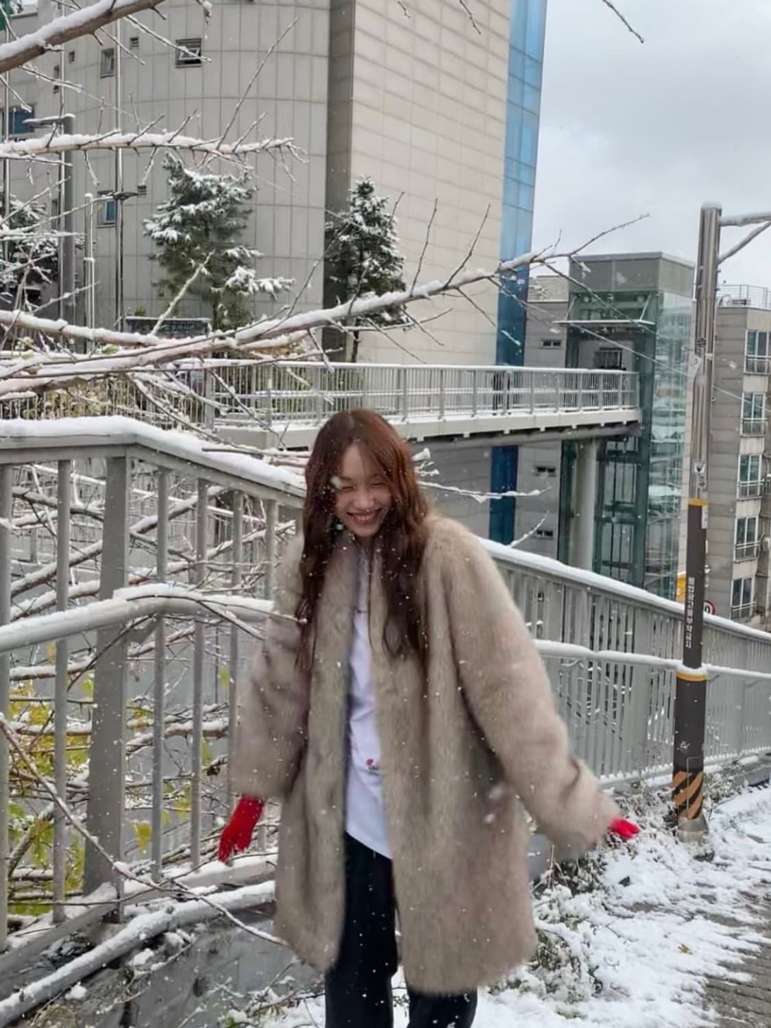 메종마레 글로우 폭스 퍼 코트 라이트 베이지 36 새상품 (품절 사이즈) 상품이미지5