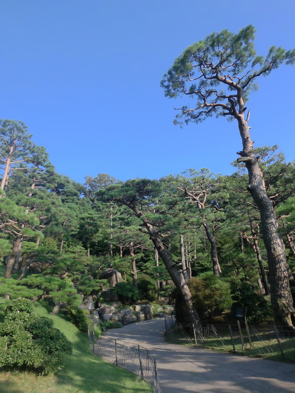 빈티지 디카 카시오 EX-FR10 액션캠 상품이미지8