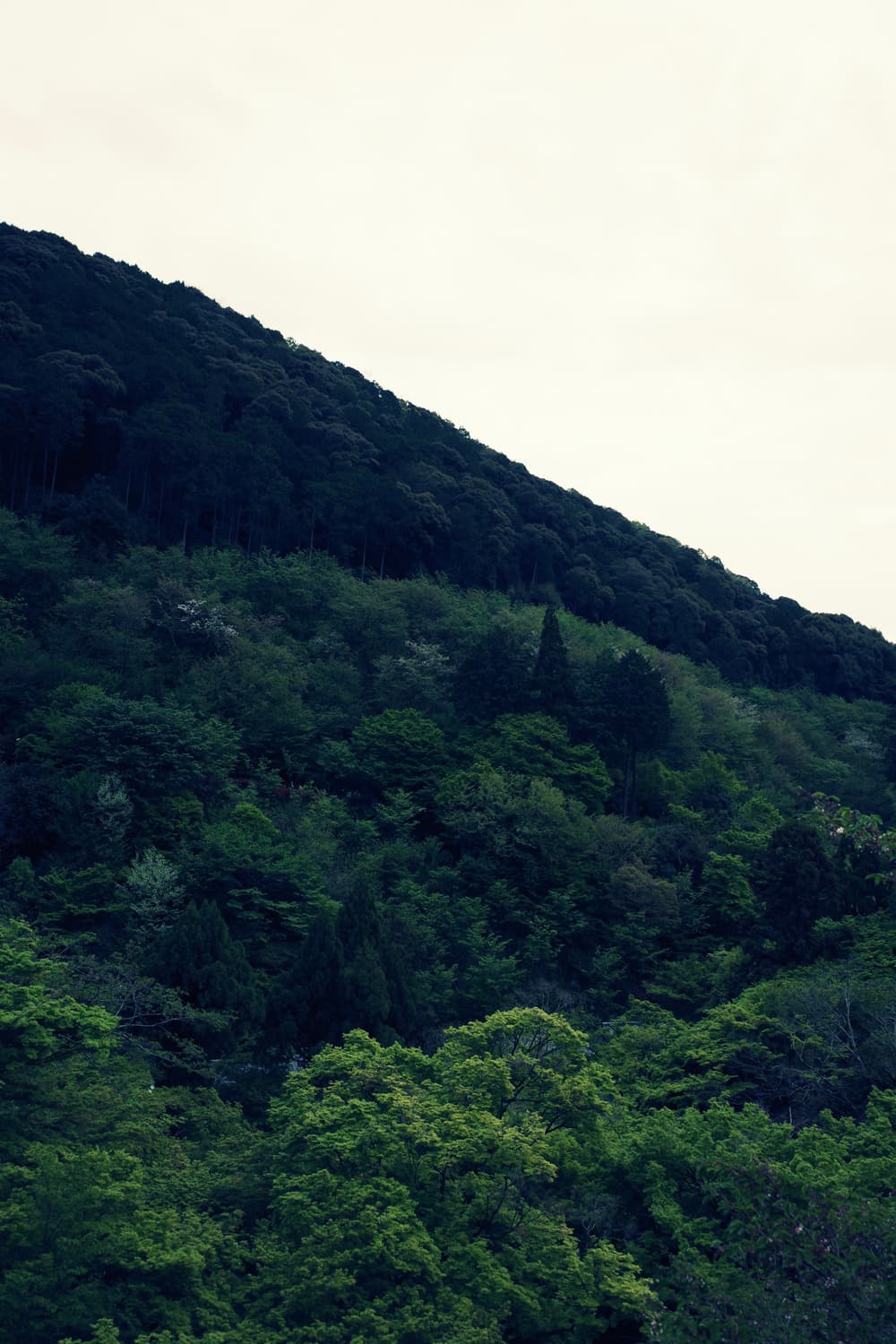 하이엔드&강추!) Ricoh GX100 디카 카메라 상품이미지3