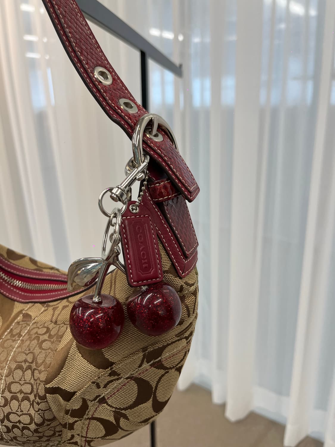Coach Red Snake Bag 상품이미지5