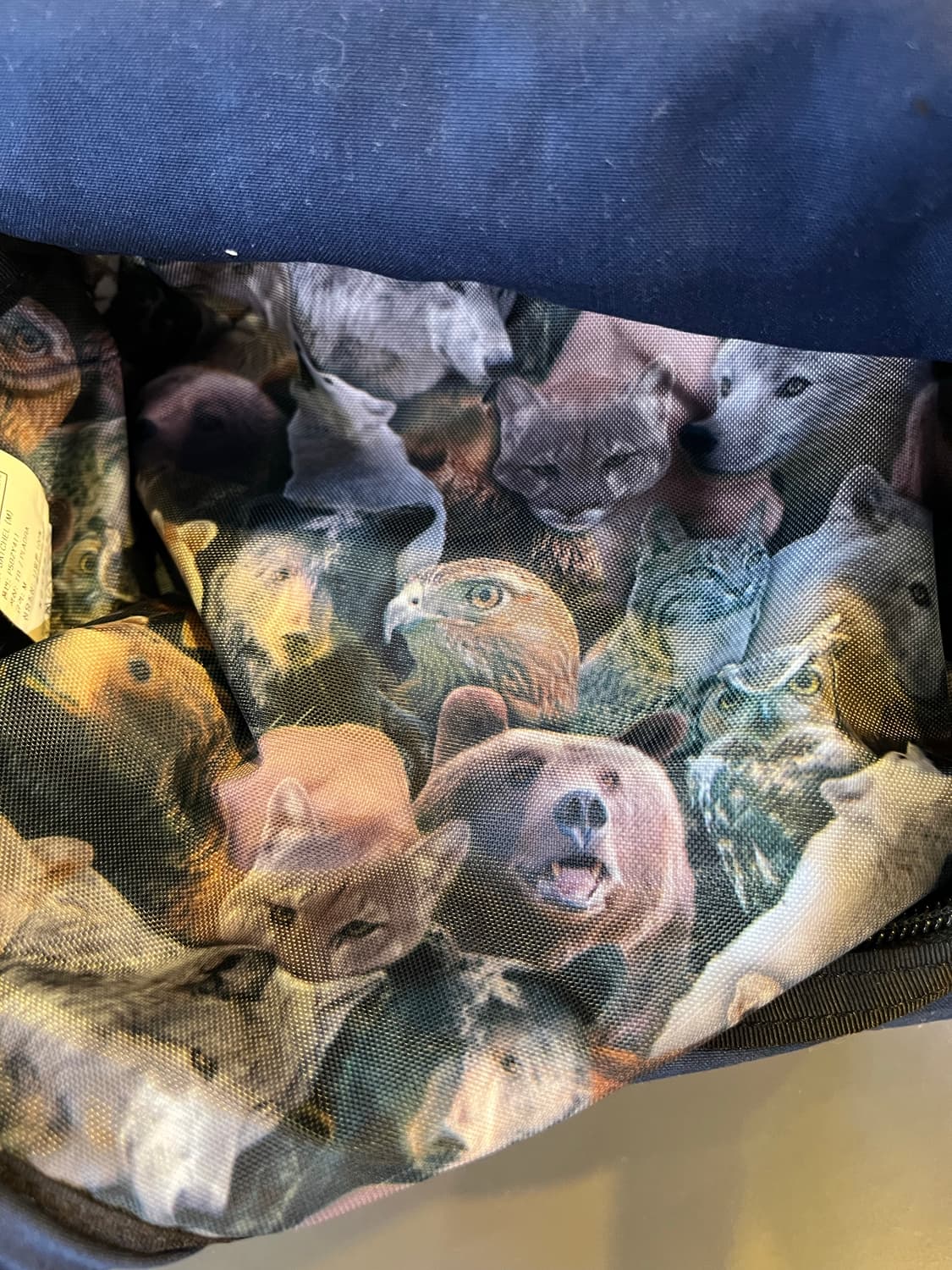 그레고리 X 플라드라 사첼백 상품이미지5