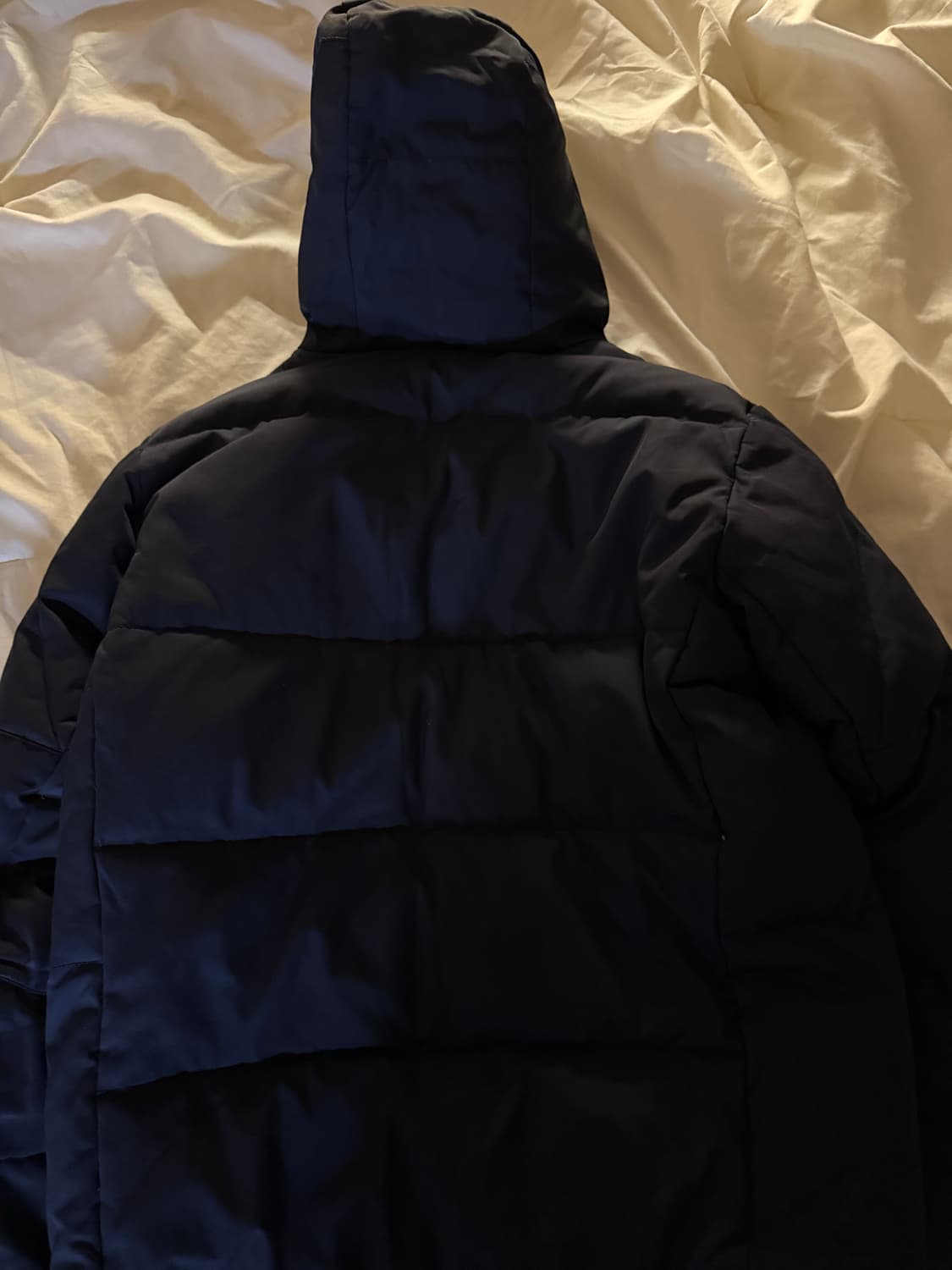 폴로 빅포니 패딩 상품이미지2