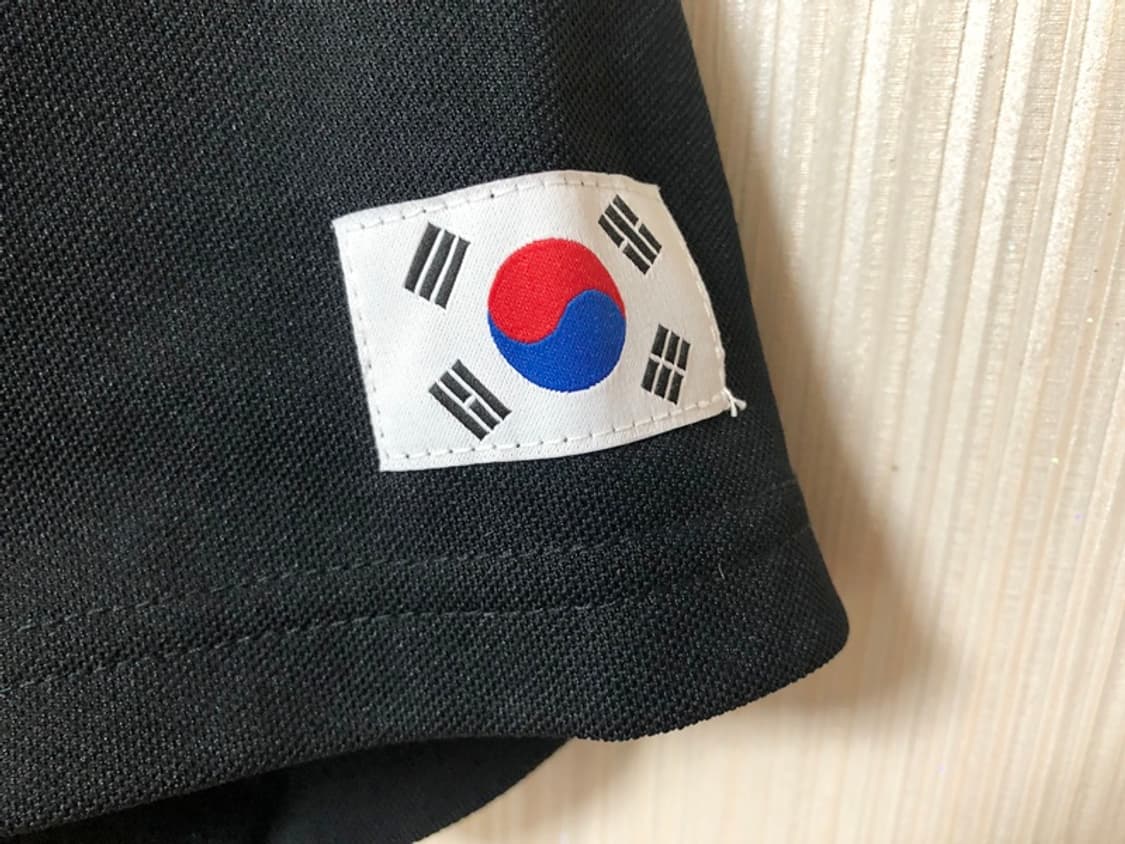 노스페이스국대 팀코리아 국대폴로티셔츠 M(95) 상품이미지7