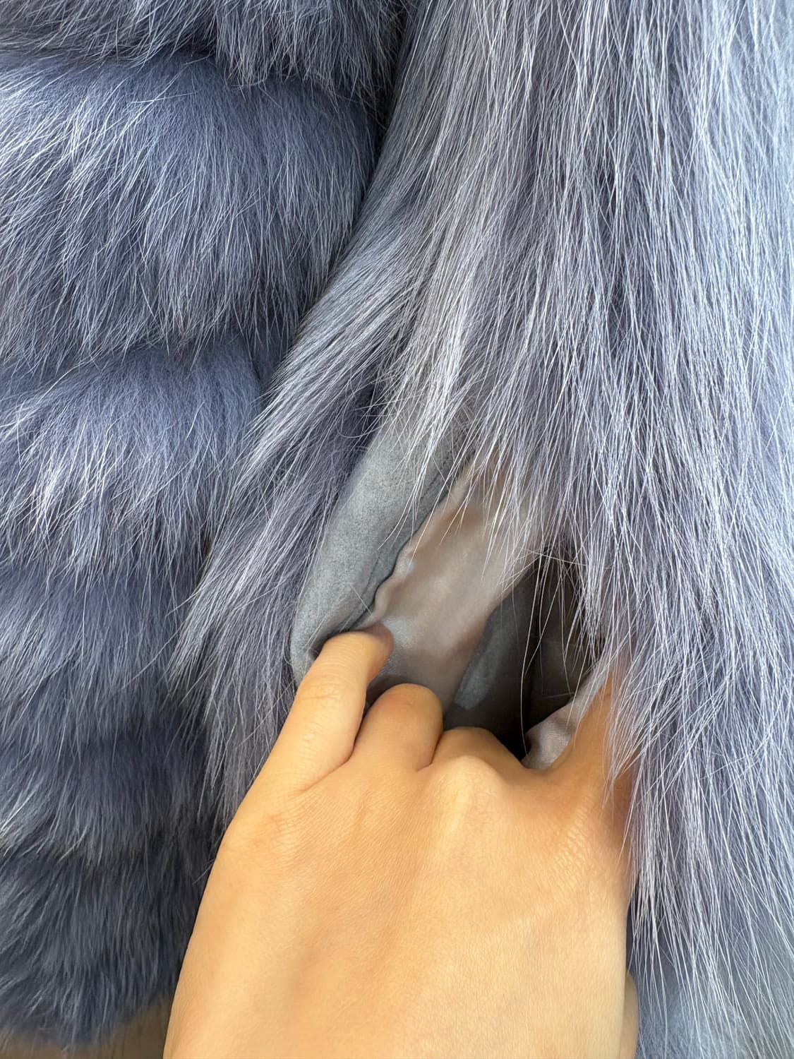 퍼플블루 폭스 상품이미지7