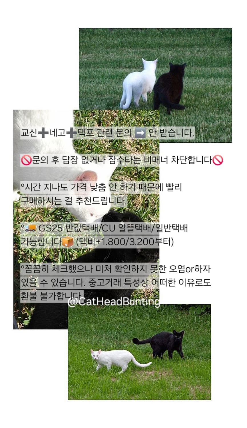 리한나 착용 델보맛 젤리백   숄더.크로스.토트백 상품이미지4