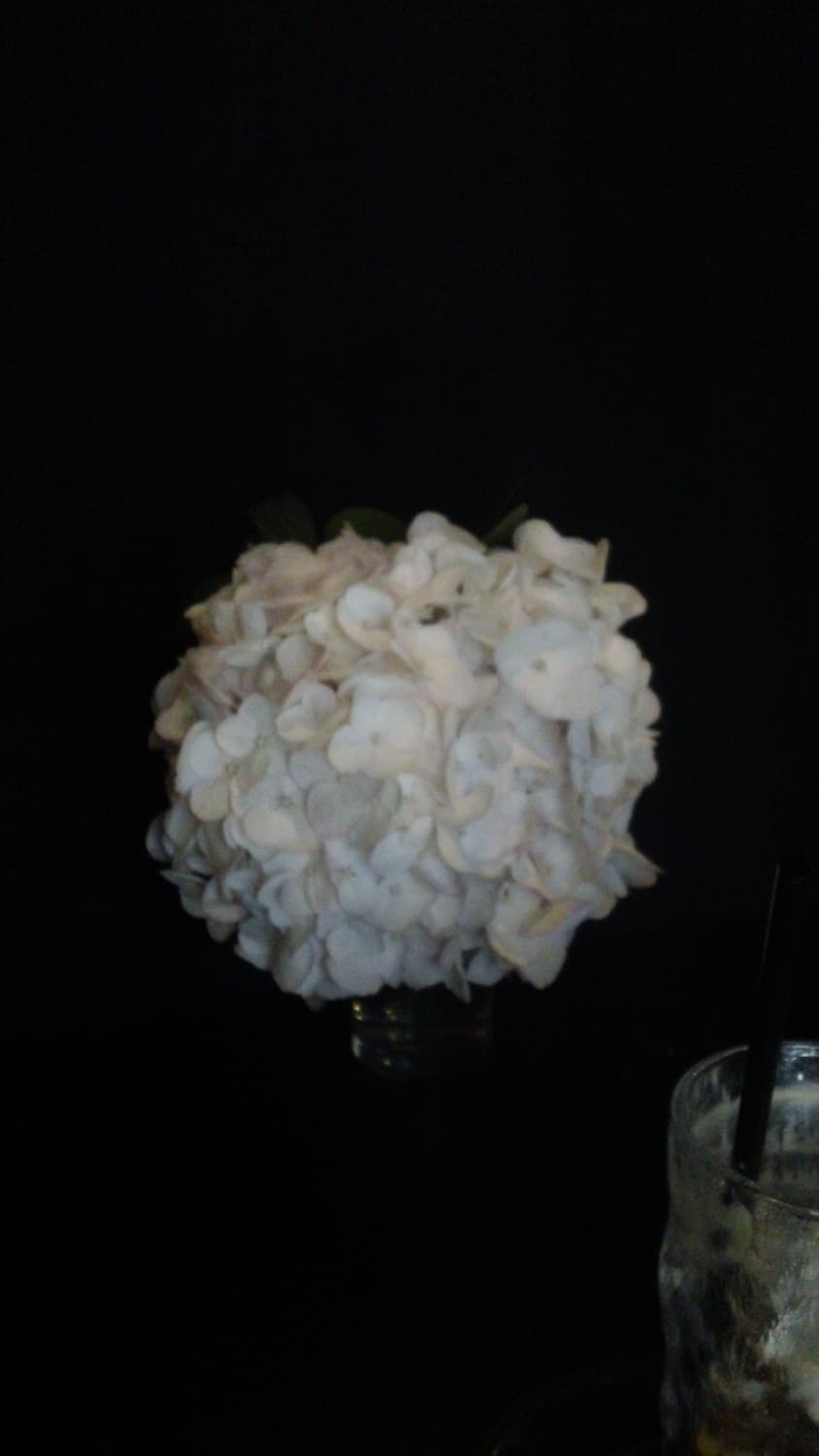 Sony Bloggie MHS-TS20 Black 상품이미지4