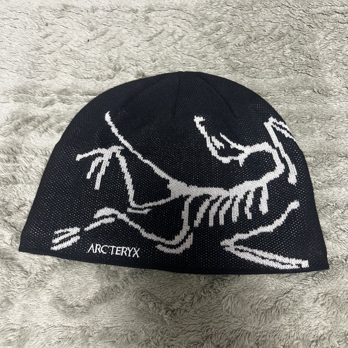 아크테릭스 비니 상품이미지2