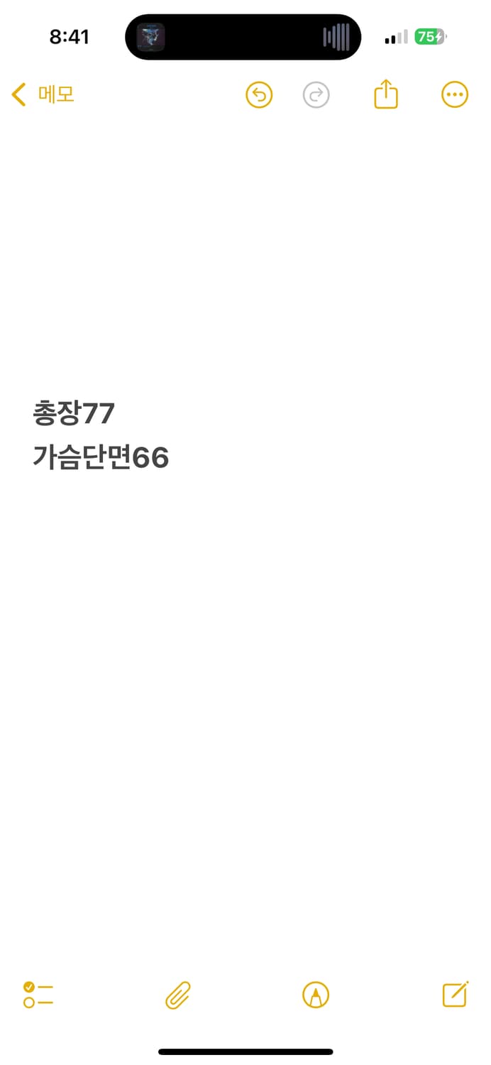 [정품/M] 압도 롱슬리브 긴팔티셔츠 b17 상품이미지7