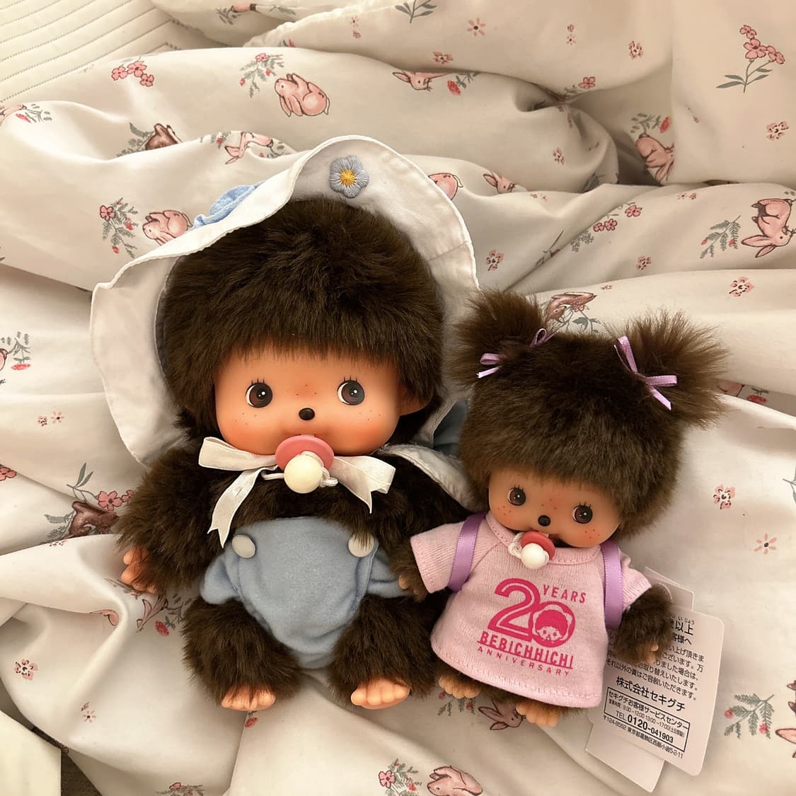 대왕 베비치치 M 상품이미지1