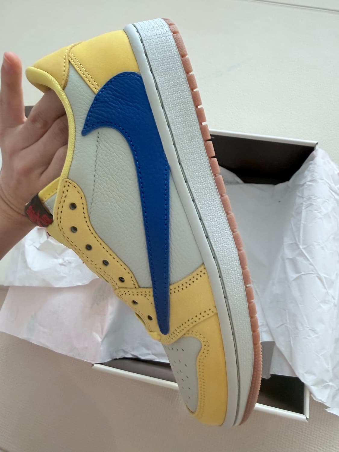 스캇 카나리 w255 상품이미지2