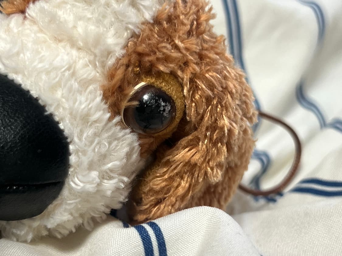 더독 강아지 스트랩 키링 인형 상품이미지5