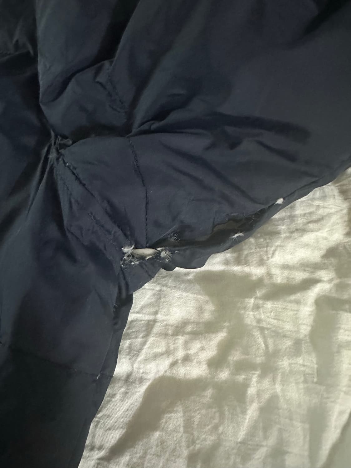 폴로 랄프로렌 빅포니 브리튼 패딩 네이비 상품이미지5