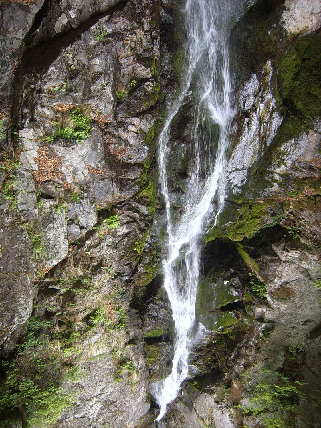 작례O 리모컨 있음 삼성 케녹스 u ca5 디지털카메라 빈티지 디카 상품이미지6