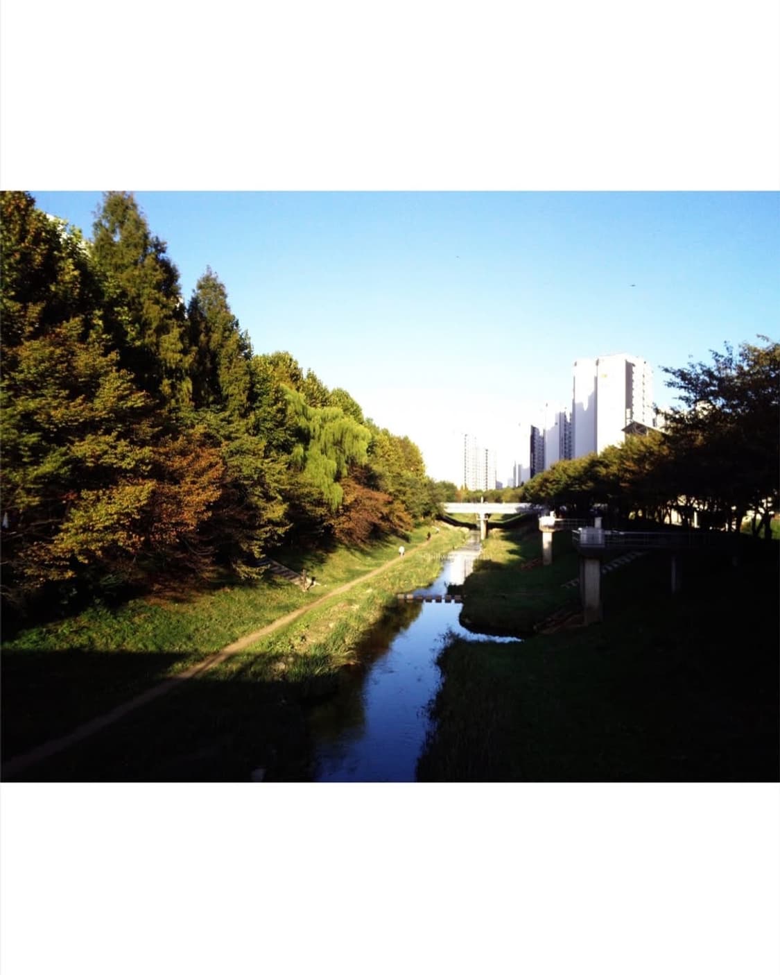 JVC GC-FM1 Black 상품이미지2