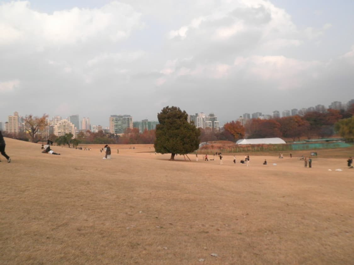 [작례o]카시오 엑슬림 ex-z1080 ,z1050 디카 은채디카 상품이미지9