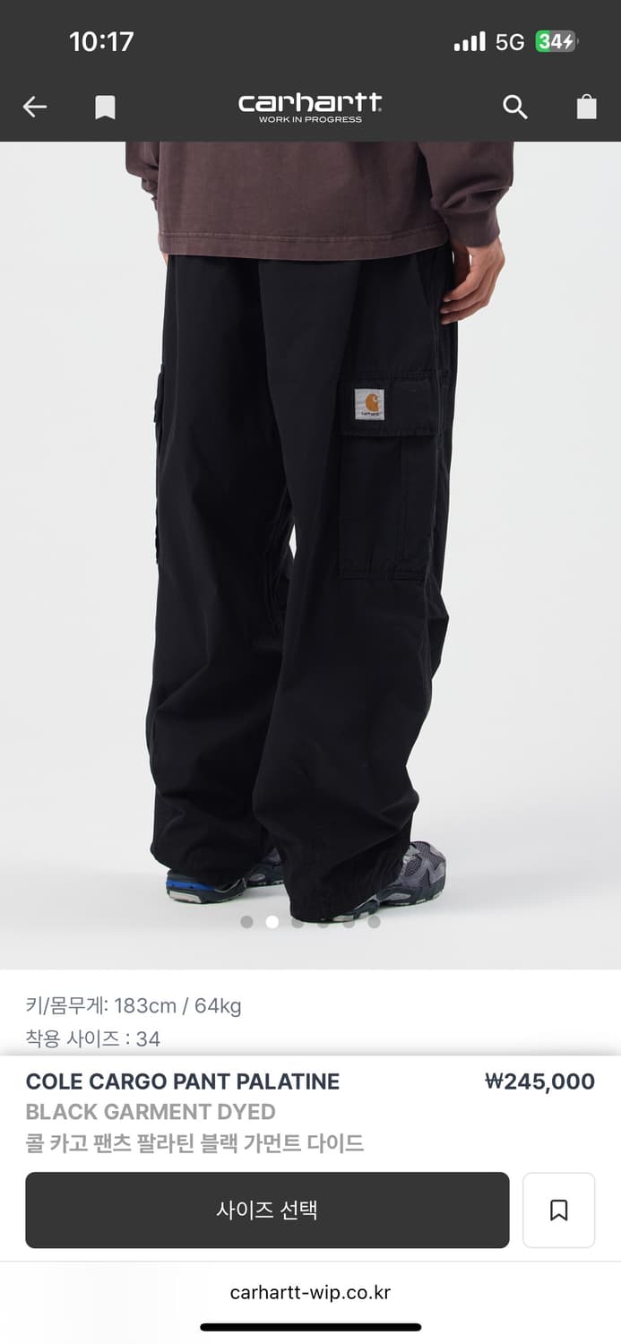 칼하트 wip cole cargo 콜카고 상품이미지2