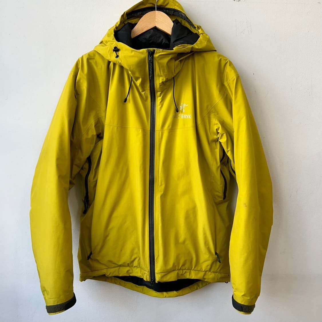 10922 - 아크테릭스 피션 SL 고어텍스 자켓 상품이미지1