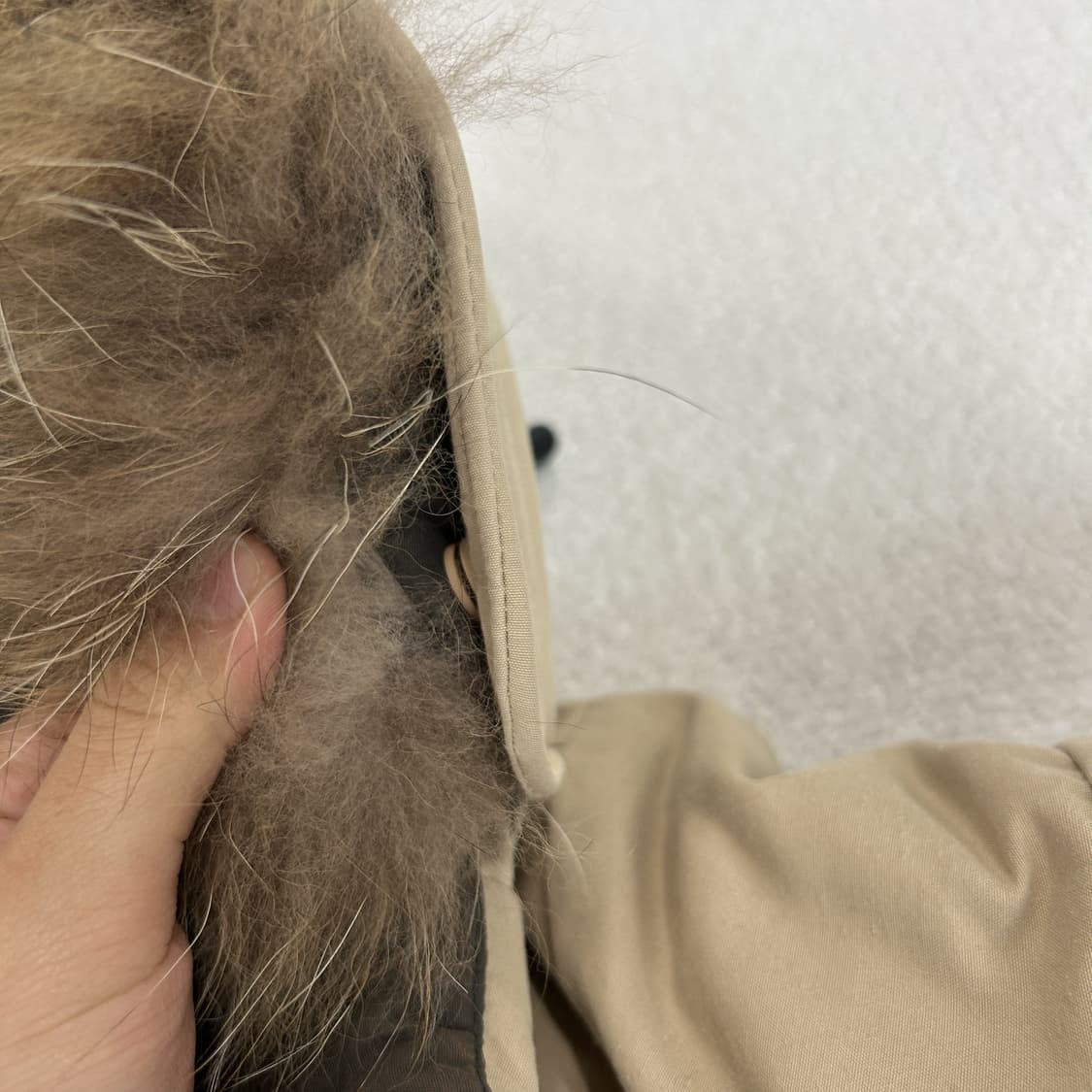 디스커버리 익스페디션 베이지 패딩 점퍼 s 상품이미지4