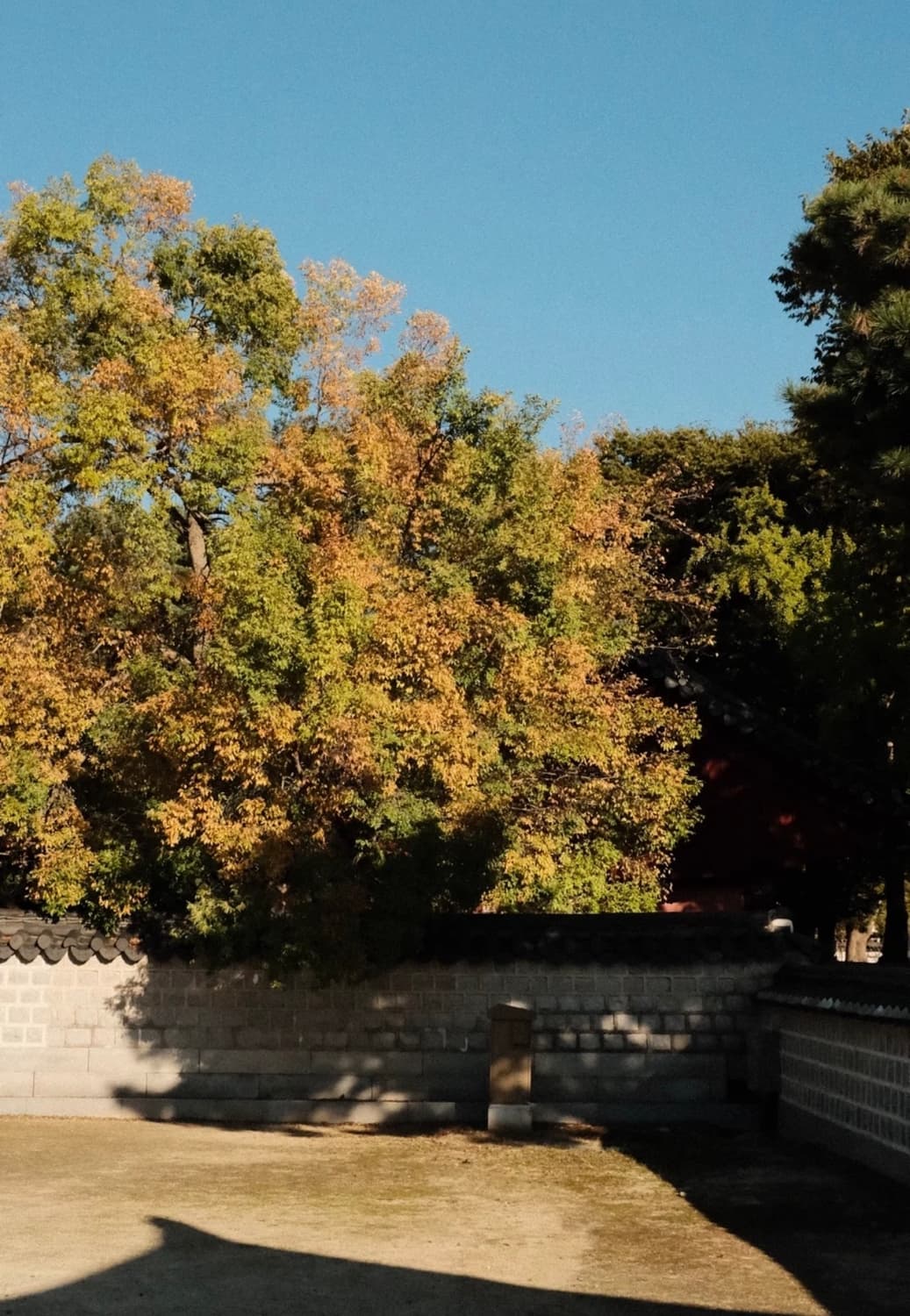 후지필름 X100V 실버 풀박스 상품이미지9