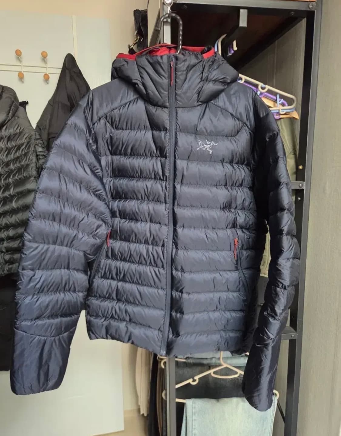 아크테릭스 세륨 lt 후디 상품이미지1