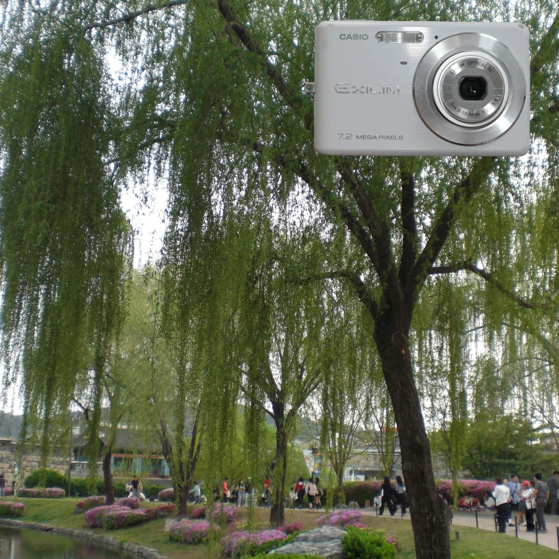 Casio EX-Z77(✨민트급/🎁풀패키지) 상품이미지2