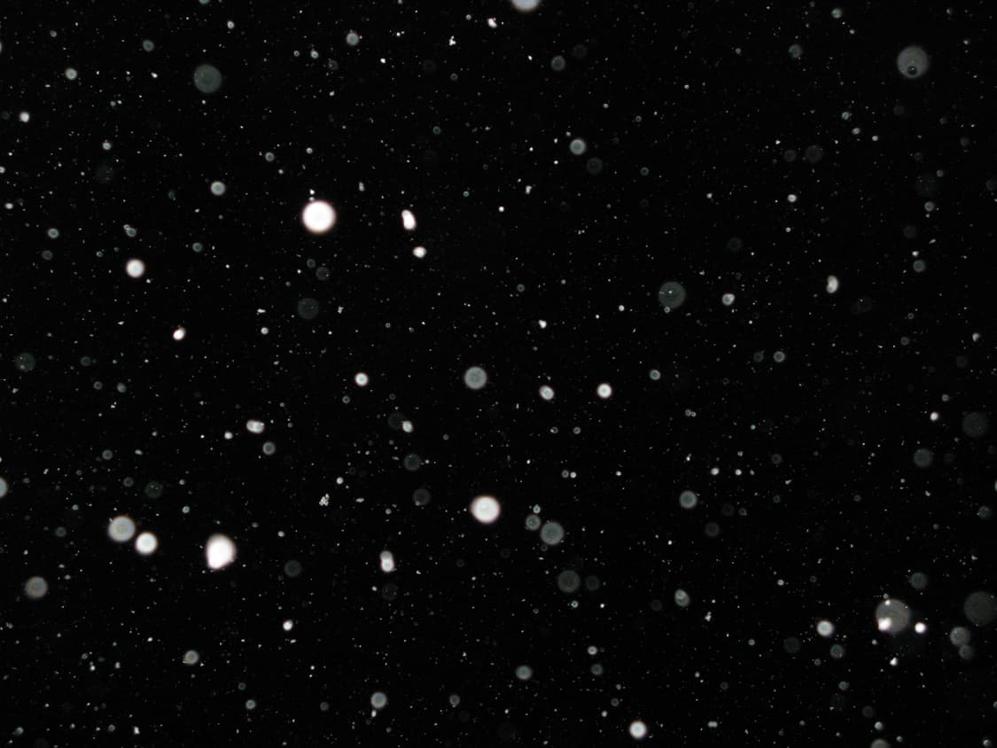 캐논 파워샷 g9 (작례o) 상품이미지8