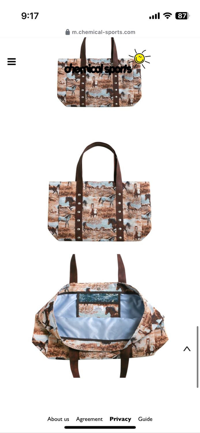 케미컬스포츠 호올스 빅백 상품이미지2