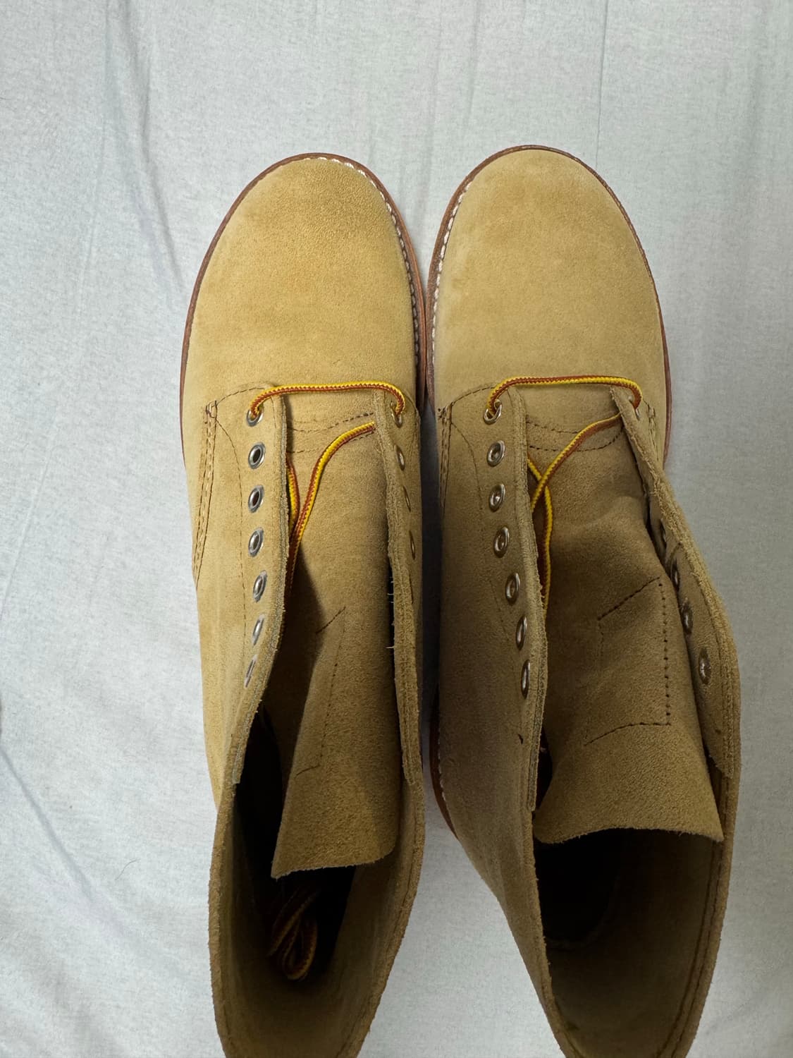 레드윙 8167 (9.5d) 새상품 상품이미지5