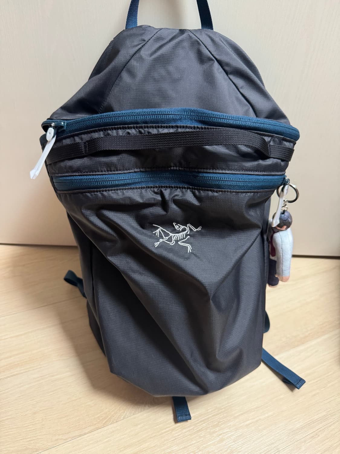 아크테릭스 헬리아드 15 백팩 로데스타 상품이미지1