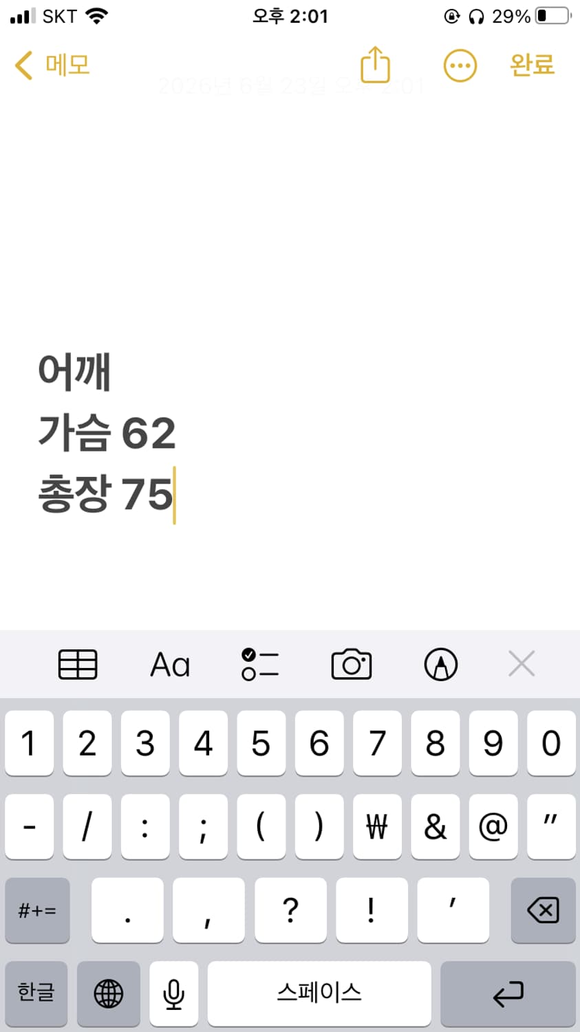 나이키 맨체스터 유나이티드 2008-09 축구 져지 상품이미지6